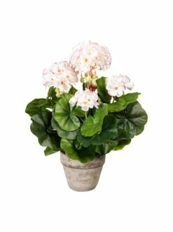 Budget 🌟 Kerzen, Vasen & Mehr Creativ Green Deko-Pflanze Geranienbusch In Weiß-rosa Günstig Kaufen ✔️