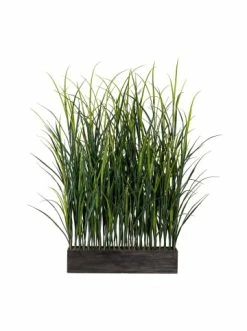 Bestpreis 💯 Kerzen, Vasen & Mehr Creativ Green Deko-Pflanze Gras-Raumteiler In Grün Günstig Kaufen 😀