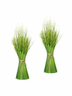 Angebote 🤩 Kerzen, Vasen & Mehr Creativ Green Deko-Pflanze Grasbusch Dancing Queen In Grün Günstig Kaufen 👍