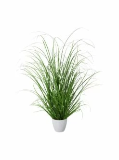 Schlussverkauf 🔔 Kerzen, Vasen & Mehr Creativ Green Deko-Pflanze Grasbusch In Grün Günstig Kaufen ❤️