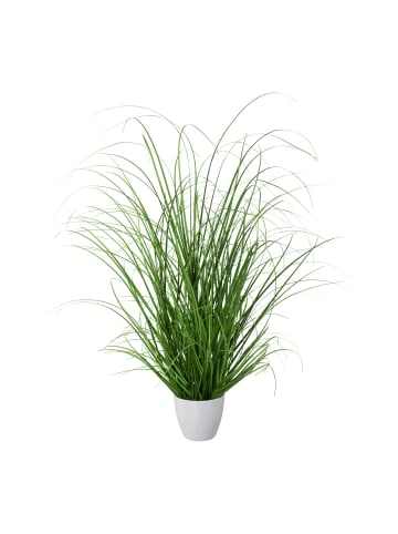 Schlussverkauf 🔔 Kerzen, Vasen & Mehr Creativ Green Deko-Pflanze Grasbusch In Grün Günstig Kaufen ❤️ 3 Schlussverkauf 🔔 Kerzen, Vasen & Mehr Creativ Green Deko-Pflanze Grasbusch In Grün Günstig Kaufen ❤️