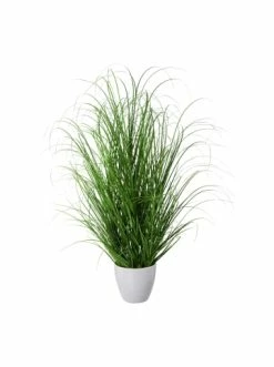 Auslauf 🔔 Kerzen, Vasen & Mehr Creativ Green Deko-Pflanze Grasbusch In Grün Günstig Kaufen 🔥