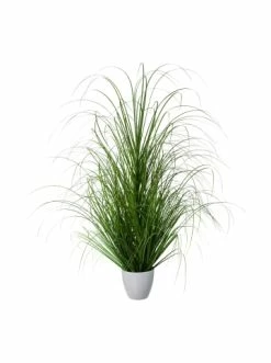 Am billigsten 🌟 Kerzen, Vasen & Mehr Creativ Green Deko-Pflanze Grasbusch In Grün Günstig Kaufen 🧨