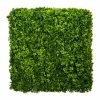 Bestpreis 👍 Kerzen, Vasen & Mehr Creativ Green Deko-Pflanze Ilex Crenata Hecke In Grün Günstig Kaufen 🛒 2 Bestpreis 👍 Kerzen, Vasen & Mehr Creativ Green Deko-Pflanze Ilex Crenata Hecke In Grün Günstig Kaufen 🛒 -Günstiges Creano Geschäft creativ green deko pflanze ilex crenata hecke in grun