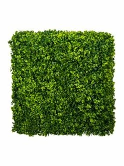 Bestpreis 👍 Kerzen, Vasen & Mehr Creativ Green Deko-Pflanze Ilex Crenata Hecke In Grün Günstig Kaufen 🛒
