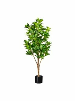 Brandneu ⭐ Kerzen, Vasen & Mehr Creativ Green Deko-Pflanze Kirschlorbeer In Grün Günstig Kaufen 🔥