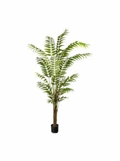 Aktion ⭐ Kerzen, Vasen & Mehr Creativ Green Deko-Pflanze Lederfarn In Grün Günstig Kaufen 🎁