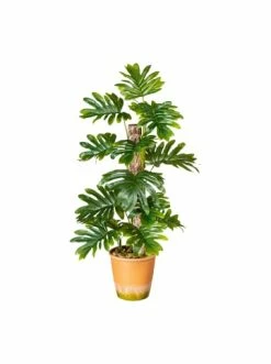 Bestes Angebot 💯 Kerzen, Vasen & Mehr Creativ Green Deko-Pflanze Monstera Auf Stamm In Grün Günstig Kaufen 😍