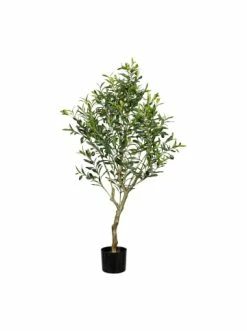 Großhandel 🔔 Kerzen, Vasen & Mehr Creativ Green Deko-Pflanze Olivenbaum In Grün Günstig Kaufen 🧨