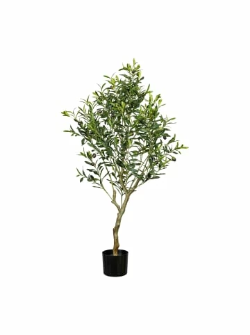 Großhandel 🔔 Kerzen, Vasen & Mehr Creativ Green Deko-Pflanze Olivenbaum In Grün Günstig Kaufen 🧨 3 Großhandel 🔔 Kerzen, Vasen & Mehr Creativ Green Deko-Pflanze Olivenbaum In Grün Günstig Kaufen 🧨