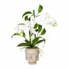 Aktion 🌟 Kerzen, Vasen & Mehr Creativ Green Deko-Pflanze Orchideen-Bambus Arrangement In Weiß Günstig Kaufen 😉 1 Aktion 🌟 Kerzen, Vasen & Mehr Creativ Green Deko-Pflanze Orchideen-Bambus Arrangement In Weiß Günstig Kaufen 😉 -Günstiges Creano Geschäft creativ green deko pflanze orchideen bambus arrangement in weiss