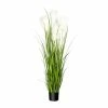 Bestpreis 🔔 Kerzen, Vasen & Mehr Creativ Green Deko-Pflanze Pampasgras In Grün-weiß Günstig Kaufen 🧨 -Günstiges Creano Geschäft creativ green deko pflanze pampasgras in grun weiss