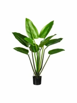 Am billigsten 🎉 Kerzen, Vasen & Mehr Creativ Green Deko-Pflanze Philodendron In Grün Günstig Kaufen 🥰
