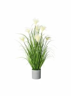 Budget ✔️ Kerzen, Vasen & Mehr Creativ Green Deko-Pflanze Riedgras In Grün Günstig Kaufen 😉