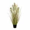 Schlussverkauf 😀 Kerzen, Vasen & Mehr Creativ Green Deko-Pflanze Rispenhirse In Grün-pink Günstig Kaufen 🔔 -Günstiges Creano Geschäft creativ green deko pflanze rispenhirse in grun pink