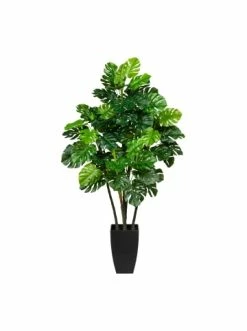 Beste Bewertungen von 🔥 Kerzen, Vasen & Mehr Creativ Green Deko-Pflanze Splitphilodendron In Grün Günstig Kaufen 🔥