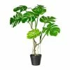 Aktion 🎁 Kerzen, Vasen & Mehr Creativ Green Deko-Pflanze Splitphilodendron In Grün Günstig Kaufen ⌛ -Günstiges Creano Geschäft creativ green deko pflanze splitphilodendron in grun 2