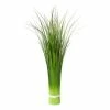 Top 10 ❤️ Kerzen, Vasen & Mehr Creativ Green Deko-Pflanze Stehgrasbusch In Grün Günstig Kaufen 🧨 -Günstiges Creano Geschäft creativ green deko pflanze stehgrasbusch in grun