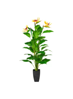 Bestpreis 🛒 Kerzen, Vasen & Mehr Creativ Green Deko-Pflanze Strelitzie In Grün-orange Günstig Kaufen ✨