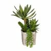 Bestes Angebot 😉 Kerzen, Vasen & Mehr Creativ Green Deko-Pflanze Sukkulentenarrangement In Grün Günstig Kaufen ✔️ -Günstiges Creano Geschäft creativ green deko pflanze sukkulentenarrangement in grun