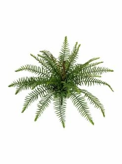 Bester Verkauf 😉 Kerzen, Vasen & Mehr Creativ Green Deko-Pflanze Wildfarnbusch In Grün Günstig Kaufen ✨