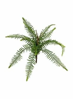 Top 10 👍 Kerzen, Vasen & Mehr Creativ Green Deko-Pflanze Wildfarnbusch In Grün Günstig Kaufen 🔔