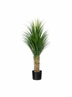 Angebote 😍 Kerzen, Vasen & Mehr Creativ Green Deko-Pflanze Yucca In Grün Günstig Kaufen 🔔
