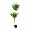 Brandneu 😉 Kerzen, Vasen & Mehr Creativ Green Deko-Pflanze Yucca In Grün Günstig Kaufen 🧨 -Günstiges Creano Geschäft creativ green deko pflanze yucca in grun 2