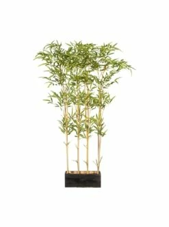 Auslauf 🔥 Kerzen, Vasen & Mehr Creativ Green Deko-Raumteiler Bambus In Grün Günstig Kaufen 👏