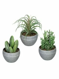 Bestes Angebot 🤩 Kerzen, Vasen & Mehr Creativ Green Deko-Sukkulente 3er Set In Grün Günstig Kaufen 😉