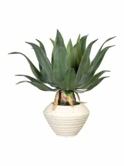 Budget 🤩 Kerzen, Vasen & Mehr Creativ Green Deko-Sukkulente Agave In Grün Günstig Kaufen ❤️