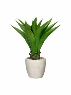 Besorgen 🧨 Kerzen, Vasen & Mehr Creativ Green Deko-Sukkulente Agave In Grün Günstig Kaufen 🔥