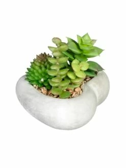 Billig 😀 Kerzen, Vasen & Mehr Creativ Green Deko-Sukkulente Arrangement 3er Set In Grün Günstig Kaufen ✔️ -Günstiges Creano Geschäft creativ green deko sukkulente arrangement 3er set in grun 2