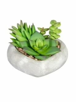 Billig 😀 Kerzen, Vasen & Mehr Creativ Green Deko-Sukkulente Arrangement 3er Set In Grün Günstig Kaufen ✔️ -Günstiges Creano Geschäft creativ green deko sukkulente arrangement 3er set in grun 3