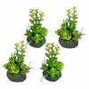 Angebote ❤️ Kerzen, Vasen & Mehr Creativ Green Deko-Sukkulente Arrangement Auf Erdballen 4er Set In Grün Günstig Kaufen 😍