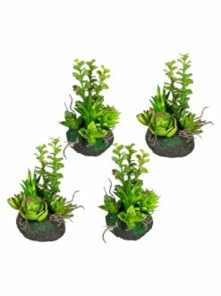 Angebote ❤️ Kerzen, Vasen & Mehr Creativ Green Deko-Sukkulente Arrangement Auf Erdballen 4er Set In Grün Günstig Kaufen 😍