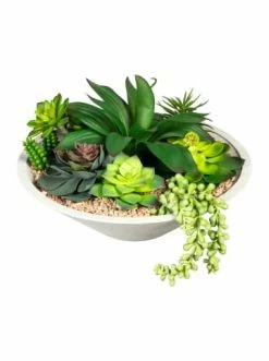 Brandneu 💯 Kerzen, Vasen & Mehr Creativ Green Deko-Sukkulente Arrangement In Grün Günstig Kaufen 🥰