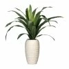 Aktion ⭐ Kerzen, Vasen & Mehr Creativ Green Deko-Sukkulente Dracaena In Grün Günstig Kaufen 🤩 -Günstiges Creano Geschäft creativ green deko sukkulente dracaena in grun