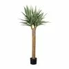 Budget 👍 Kerzen, Vasen & Mehr Creativ Green Deko-Sukkulente Dracaena In Grün Günstig Kaufen ⭐ -Günstiges Creano Geschäft creativ green deko sukkulente dracaena in grun 3