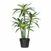 Neu 👏 Kerzen, Vasen & Mehr Creativ Green Deko-Sukkulente Dracaena In Grün Günstig Kaufen 🎉 -Günstiges Creano Geschäft creativ green deko sukkulente dracaena in grun 4