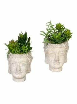 Blitzangebot 🛒 Kerzen, Vasen & Mehr Creativ Green Deko-Sukkulente Im Buddhakopf 2er Set In Grün Günstig Kaufen 🥰