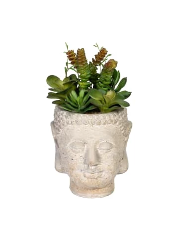 Beste Bewertungen von 👏 Kerzen, Vasen & Mehr Creativ Green Deko-Sukkulente Im Buddhakopf In Grün Günstig Kaufen 👏 3 Beste Bewertungen von 👏 Kerzen, Vasen & Mehr Creativ Green Deko-Sukkulente Im Buddhakopf In Grün Günstig Kaufen 👏