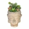 Großhandel ⭐ Kerzen, Vasen & Mehr Creativ Green Deko-Sukkulente Im Buddhakopf In Grün Günstig Kaufen ⭐ -Günstiges Creano Geschäft creativ green deko sukkulente im buddhakopf in grun