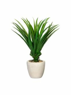 Schlussverkauf 😉 Kerzen, Vasen & Mehr Creativ Green Deko-Sukkulente Pandanus In Grün Günstig Kaufen ✨