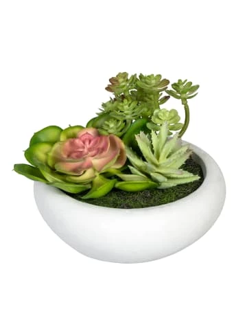 Budget 😀 Kerzen, Vasen & Mehr Creativ Green Deko-Sukkulente Sukkulentenarrangement 2er Set In Grün Günstig Kaufen 👍 4 Budget 😀 Kerzen, Vasen & Mehr Creativ Green Deko-Sukkulente Sukkulentenarrangement 2er Set In Grün Günstig Kaufen 👍 - Image 2